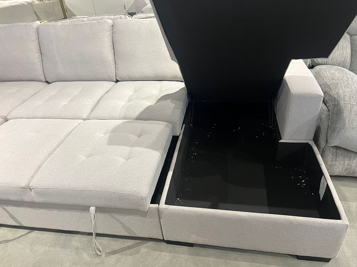 Xander Pull Out Sectional Sofa