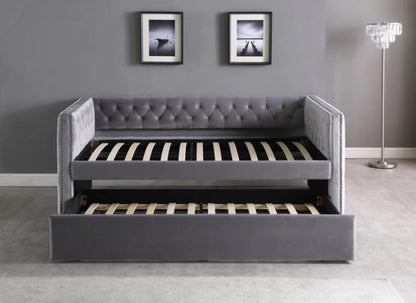 IF305 - Trundle Bed Single/Single