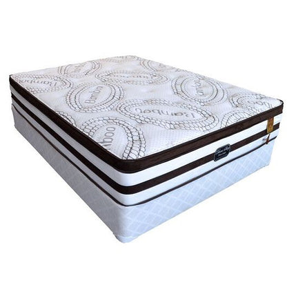 10.5-Inch Pro Back Pillow Top Pocket Coil Mattress | Medium Firm Support